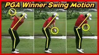 PGA Winner 