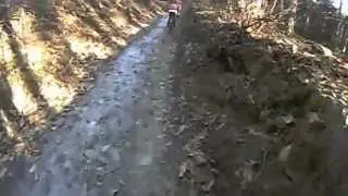 Montiggl
