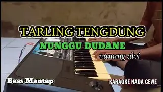 NUNGGU DUDANE TARLING TENGDUNG - KARAOKE NADA CEWE
