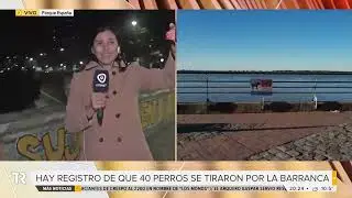 Misterio en una zona del parque Espa&ntilde;a en la que los perros saltan al vac&iacute;o