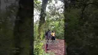 Gunung Pangparang Yang Mulai Jarang dikunjungi #pangparang #gunungpangparang