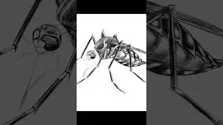 This Is The Hardest Thing About Scientific Illustration #shorts