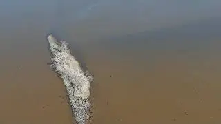 2026 Ceader Bluff 0113 dji5
