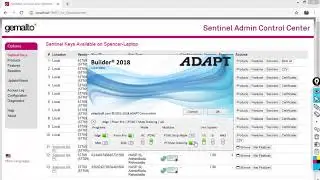 How to see who is using an ADAPT license