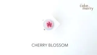 How to Pipe a Buttercream Flower: Cherry Blossom
