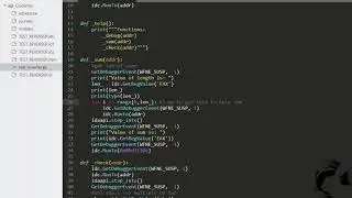 Scripting with IDAPython-Test reverser solution 0x01