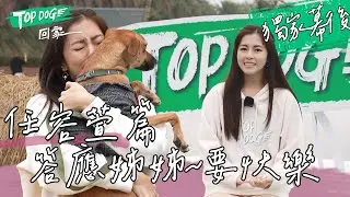 TOPDOG 獨家幕後｜任容萱替夥伴找了值得託付的家！海膽咬著襪子炫耀 回憶歷歷在目 是我們一輩子的回憶 答應姊姊~要快快樂樂@topdoghome