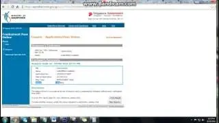 How to check Singapore SPASS EPASS Status in EP Online WebSite