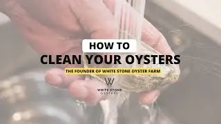 How to clean your oysters | White Stone Oyster Farm