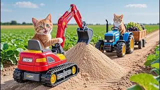 Kitten Helps Mama Cat Fix Broken Road While Harvest Grape at Farm 🐾🐱🍇👷&zwj; | Heartwarming Story