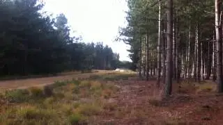 Tempest rally (Part 15)
