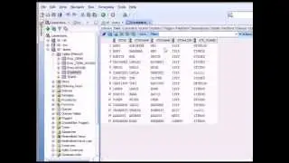 09 of 15 SQL Basics with Oracle - Using IN, NOT IN, NULL and NOT NULL