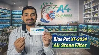 Blue Pet XF-2834 Air Stone Filter Unboxing | Full Review & Details | Filter for Small Aquarium |