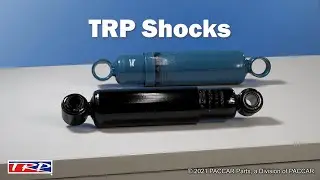TRP Conversations: Shock Absorbers