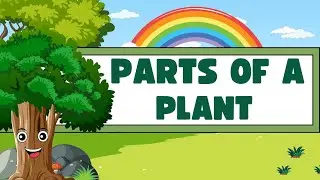Parts of a plants | Parts of plants Name in English | Stem | Root |Flower |Fruit