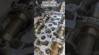Kia Carnes Taming Mark's #shortvideo #automobile #toyotacars #mechanic