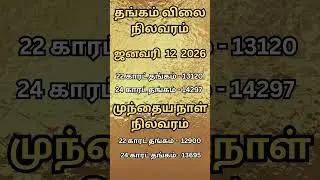 The REAL Difference Between Investing in Gold and Keeping Cash 12.01.2026