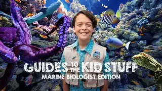 Dive into San Diego with Cam, Future Marine Biologist & Your Guide to the Kid Stuff.