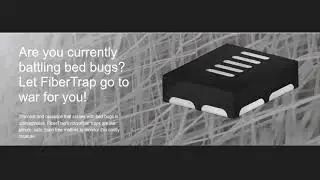 best bed bug trap in new york |                                                                  ...