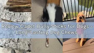 Review Cadet Bully Sticks for Dogs - Long-Lasting Dog Chews - All-Natural Premium Dog Treats Promote