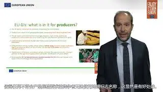 12 b Geographical indications
