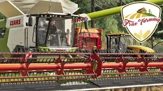 LS19 True Farming #861 - Überraschende HOCHZEIT in Schwatzingen! - Farming Simulator 19