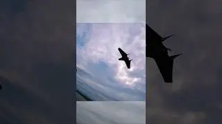 CHASING THE BATWING!!🏃&zwj;➡️🛩(ig:highsky.fpv) #rcplane #fpvshorts #fyp #ftw #ftb #viral#fpvdrone #chase