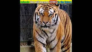 Animals that will become EXTINCT in the future 😔. #shorts
