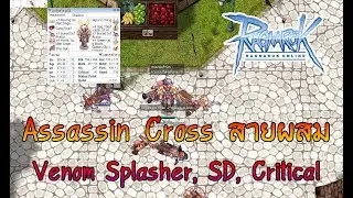รีวิว AssassinCross สายไฮบริด 3 in 1 Splasher, SD, Critical ได้หมดถ้าสดชื่น | สเตตัส สกิลท้ายคลิป