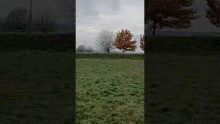 Steinkreis Hermanns Berg, Sembach, Deutschland, 11.12.2022, 2:49 pm.