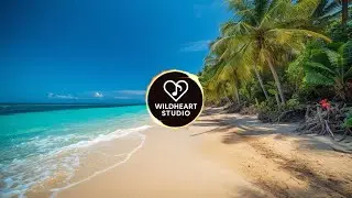 Endless Tropical Escape 🌴 | Relaxing Beach Music Loop