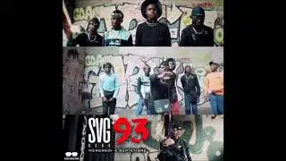 Teaser 93 svg gang