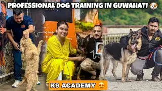 Professional Dog Training Centre in Guwahati 🐶