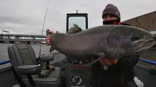 Grand river Steelhead 2020(Adrian)