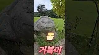 #shorts 돌 거북이에게 가보았습니다...I met a stone turtle.