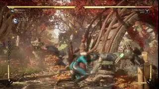 Highborn Kitana corner combo MK11