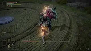 Crucible Knight (Schmelztiegelritter) VS Wretch Level 1 (Bettler) [No DMG Tactic]