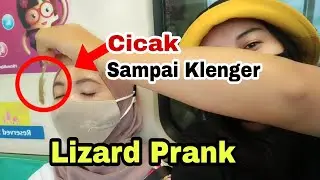 Lizard Prank On Cute Girl || Prank Cicak