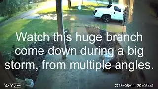 Security Cams CCTV Catch Storm Damage as Wind Destroys Tree, Multiple Angles