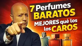 7 Perfumes BARATOS que SUPERAN a los CAROS. Excelentes aromas y excelente duraci&oacute;n.