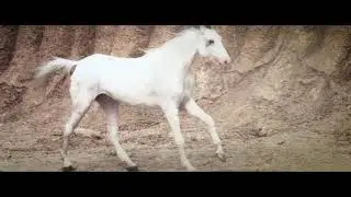 MP Birla Chetak TVC 2017 | 30 Seconds
