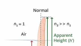 Real and apparent height when viewed from denser medium 