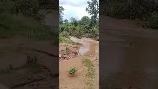 A long walk into forest lands, see how we move from tribal communities after setting up electricity 