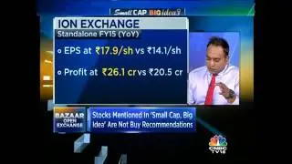 Small Cap Big Idea: Ion Exchange