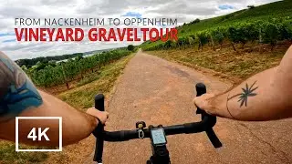 Vineyard Gravel Bike Tour on the Rhine riverside, Germany | Rose Backroad AL | 4K