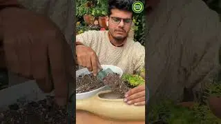 Inspiration journey of Abhinav Yadav | @MummyGarden