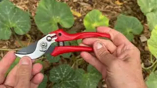 Садовые секаторы AGRICUT Bypass: честный обзор &mdash; реальные результаты, без преувеличения! W8132