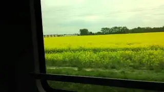 Canola Fields in Poland from the Train