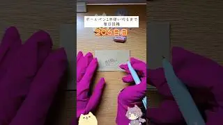 色合いだけ似てる...？🍛【206日目】