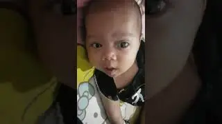 LSZ mendusin